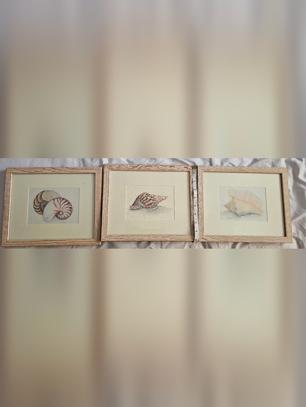 Coastal Shell Watercolor Trio in Beige and Brown - Unbranded Framed Art